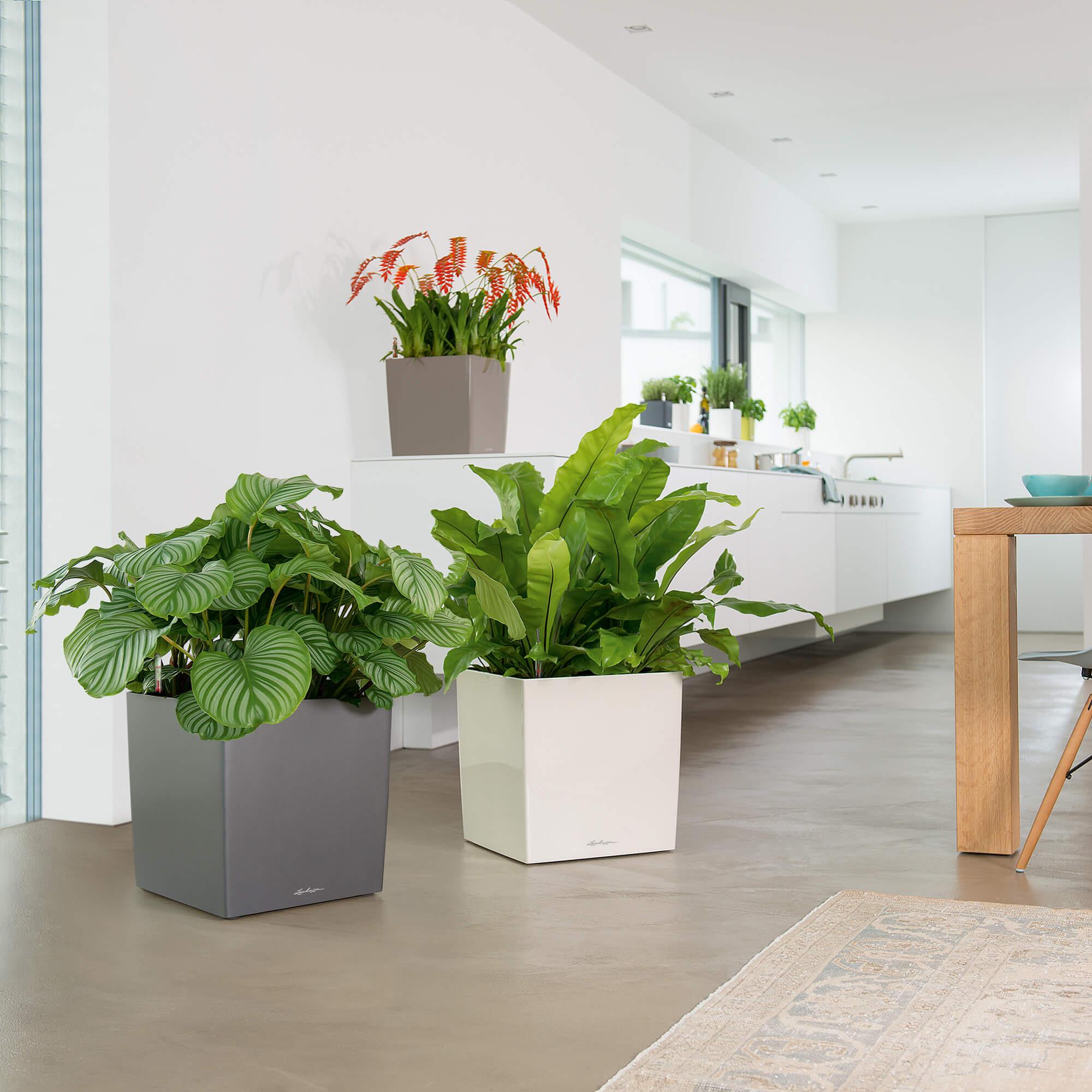 le_cube_product_addi_01